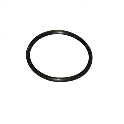 Picture of O-Ring