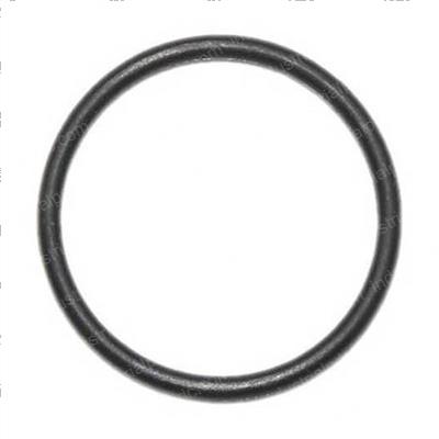 Picture of O-Ring