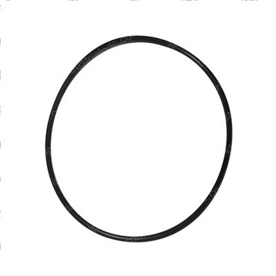 Picture of O-Ring