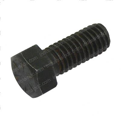 Picture of Bolt