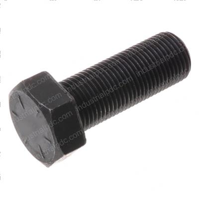Picture of Bolt