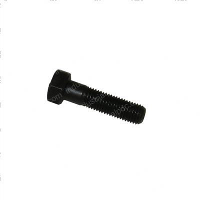 Picture of Bolt
