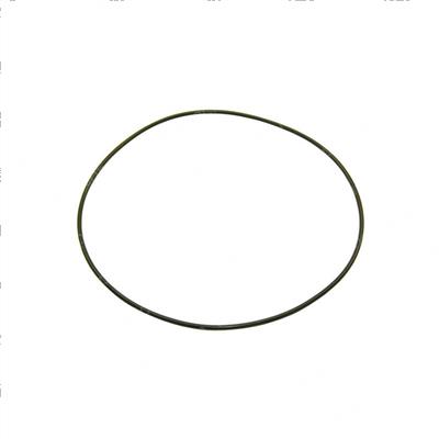 Picture of O-Ring