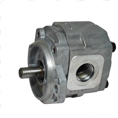 Picture of Pump - Hydraulic
