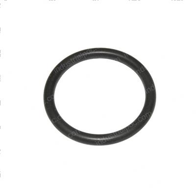 Picture of O-Ring