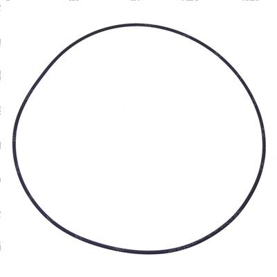 Picture of O-Ring