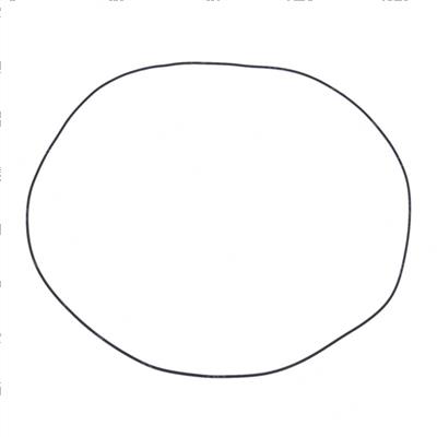 Picture of O-Ring