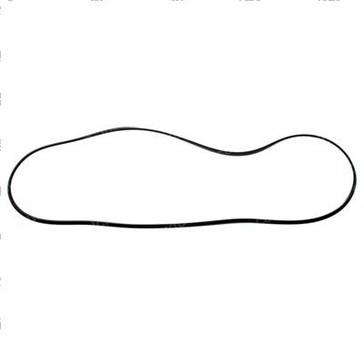 Picture of Seal