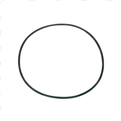 Picture of Seal