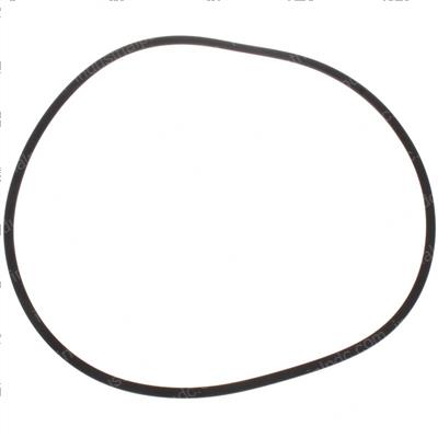 Picture of Seal