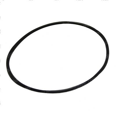 Picture of O-Ring