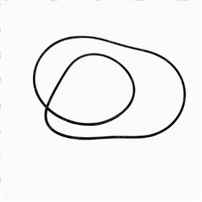 Picture of O-Ring