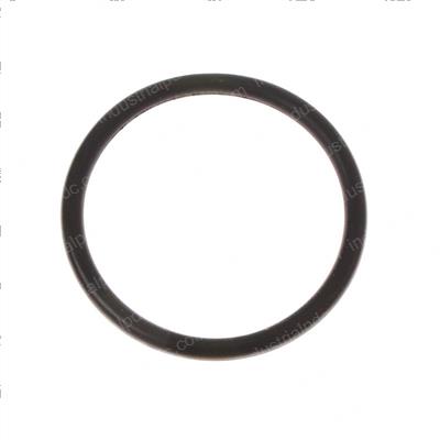 Picture of O-Ring