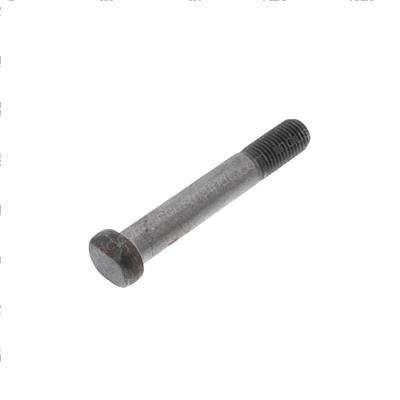 Picture of Bolt