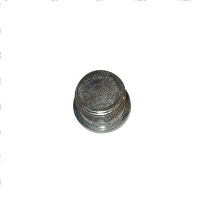 Picture of Plug