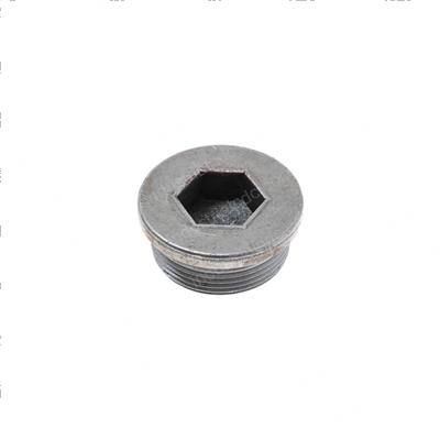Picture of Plug Screw
