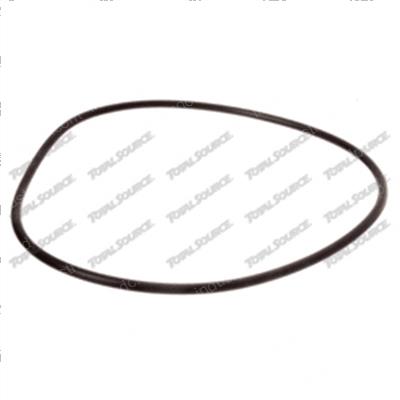 Picture of O-Ring