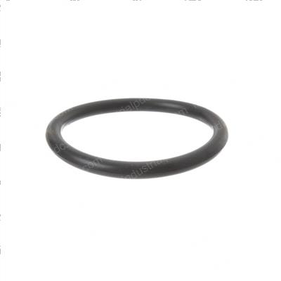 Picture of O-Ring