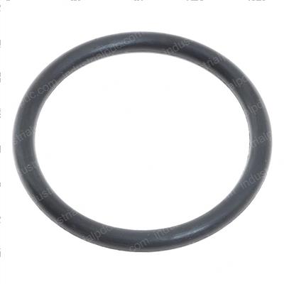 Picture of O-Ring