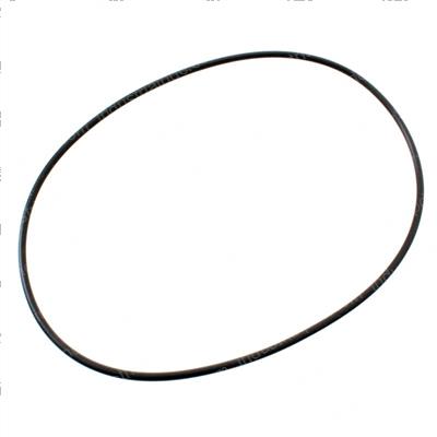 Picture of O-Ring
