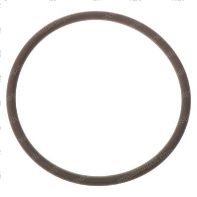 Picture of O-Ring