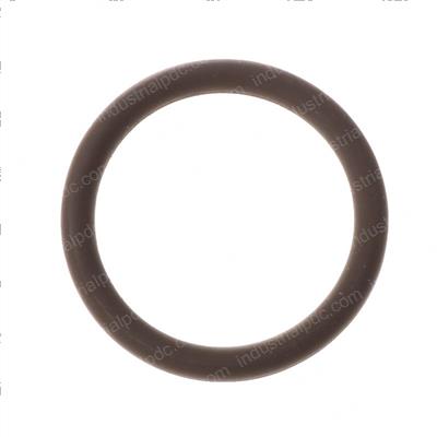 Picture of O-Ring