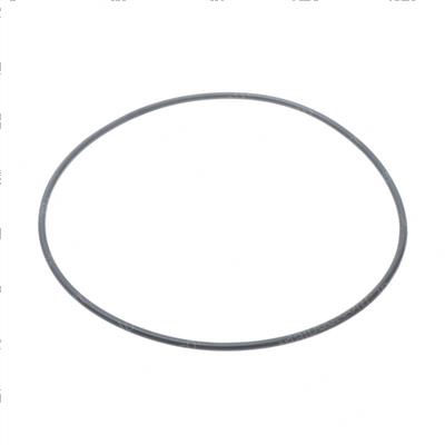 Picture of O-Ring