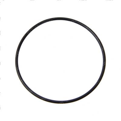 Picture of O-Ring