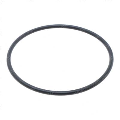 Picture of O-Ring