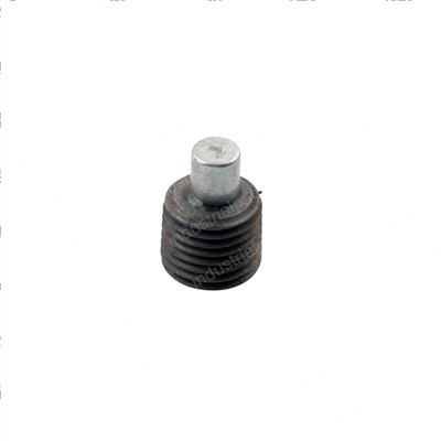 Picture of Plug - Pipe