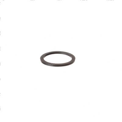 Picture of Seal - Back-Up