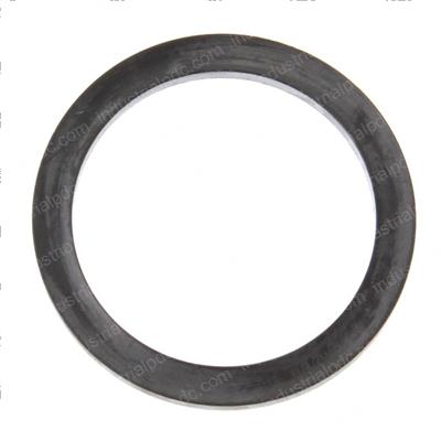 Picture of Ring Backup