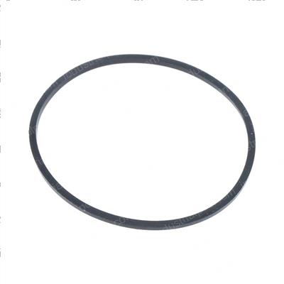 Picture of Ring Back-Up