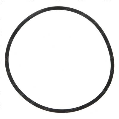Picture of Ring Back-Up
