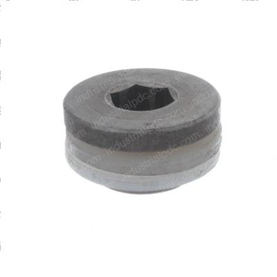 Picture of Plug Drain