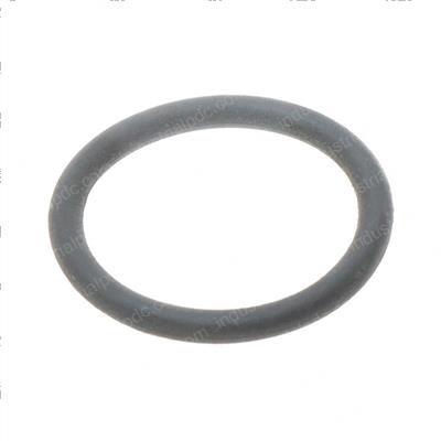 Picture of O Ring Magnetic Cam Sensor