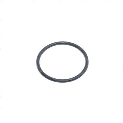 Picture of O-Ring