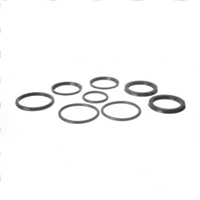 Picture of Seal Kit - Hydraulic Cylinder