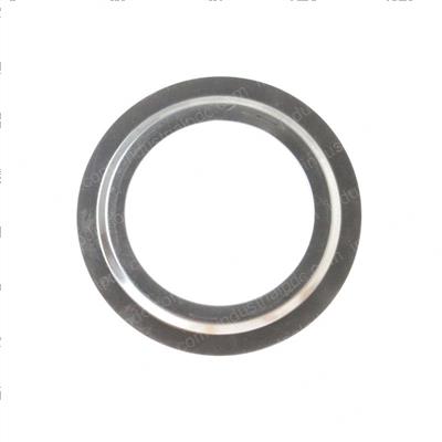 Picture of Seal -  Metallic