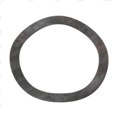 Picture of Washer Wave Spring