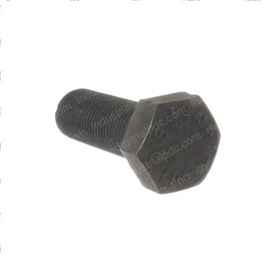 Picture of Bolt
