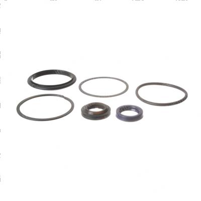 Picture of Seal Kit - Hydraulic Cylinder