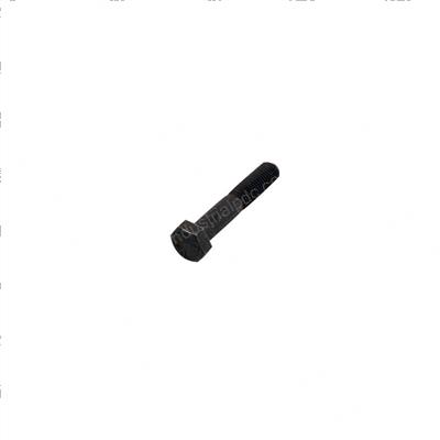 Picture of Bolt