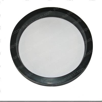 Picture of Seal - Ucup