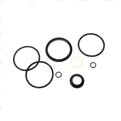 Picture of Seal Kit - Cage Rotate (ab46)