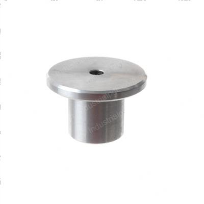 Picture of Plug - Safety