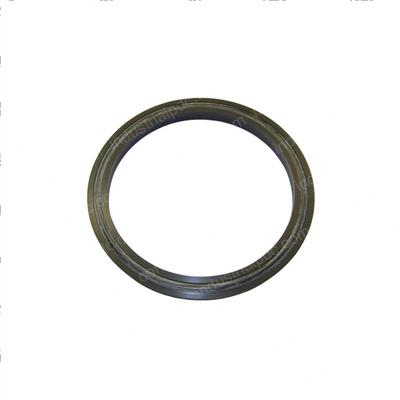 Picture of Seal