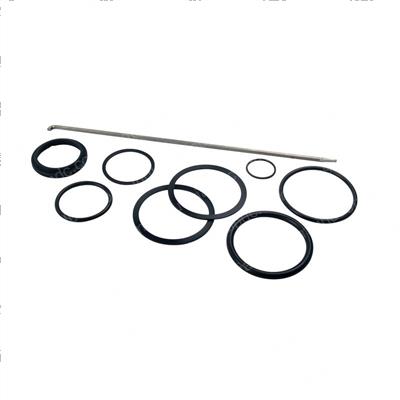 Picture of Seal Kit - Hydraulic Cylinder