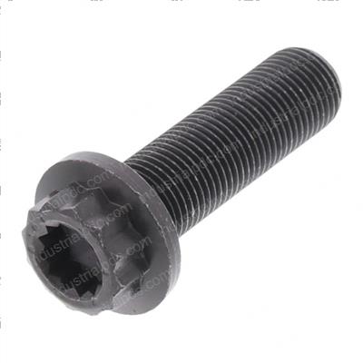 Picture of 12pointheadbolt