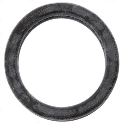 Picture of Seal